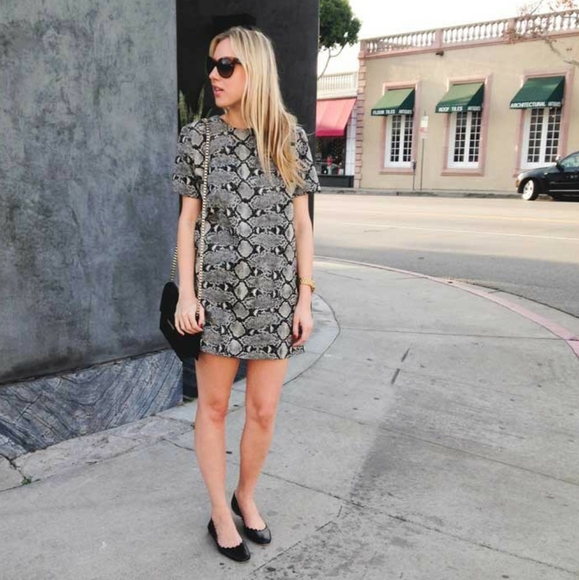 Zara Dresses & Skirts - Zara Shift Dress in Snakeskin Pattern